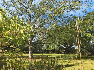 BRIGHTLINGSEA ROAD- click for photo gallery